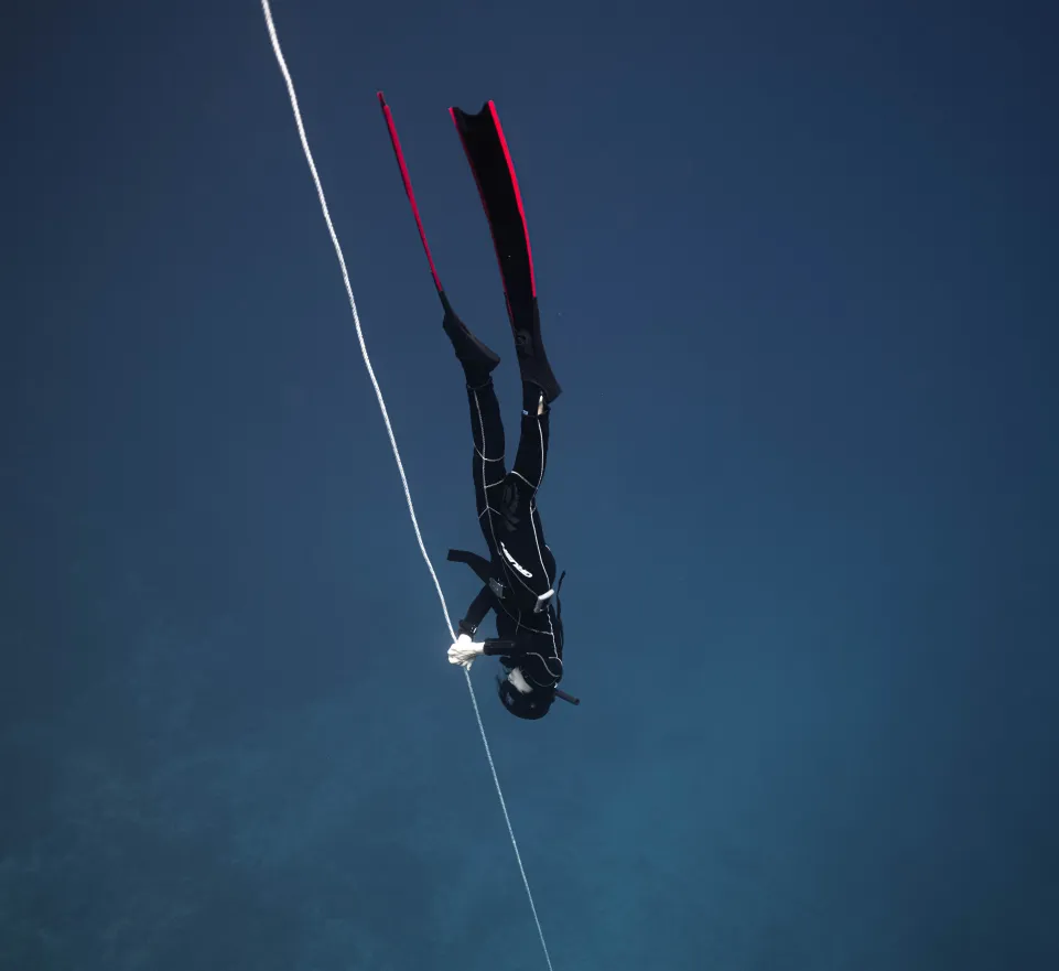 A freediver in a wetsuit is descending underwater, holding onto a white diving line, with fins visible.