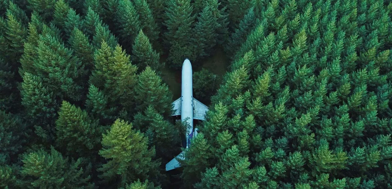 An airplane is nestled among dense green trees in a forest from an aerial perspective.